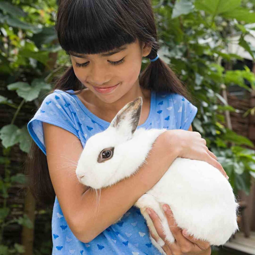 are rabbits similar to humans