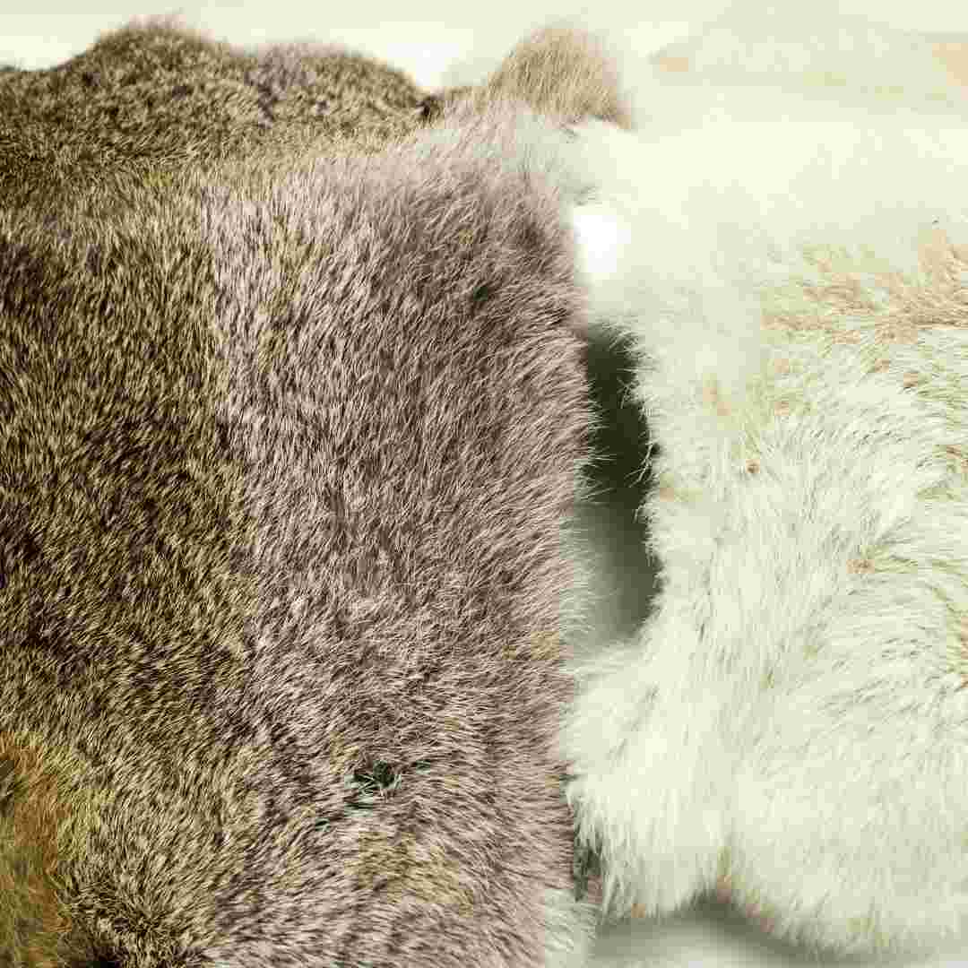 Is Rabbit Fur Warm? A Closer Look at the Insulating Properties of Rabbit Fur