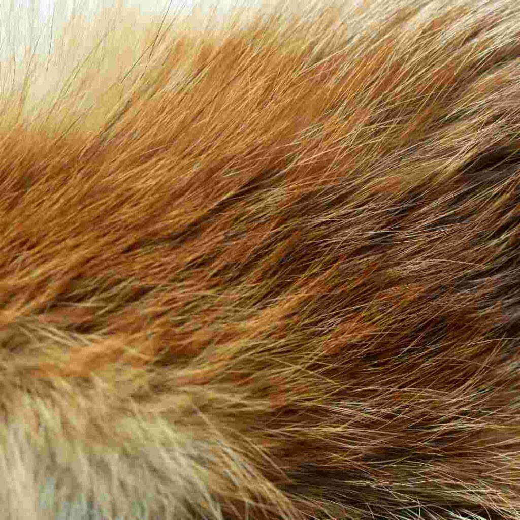 is rabbit fur warm
