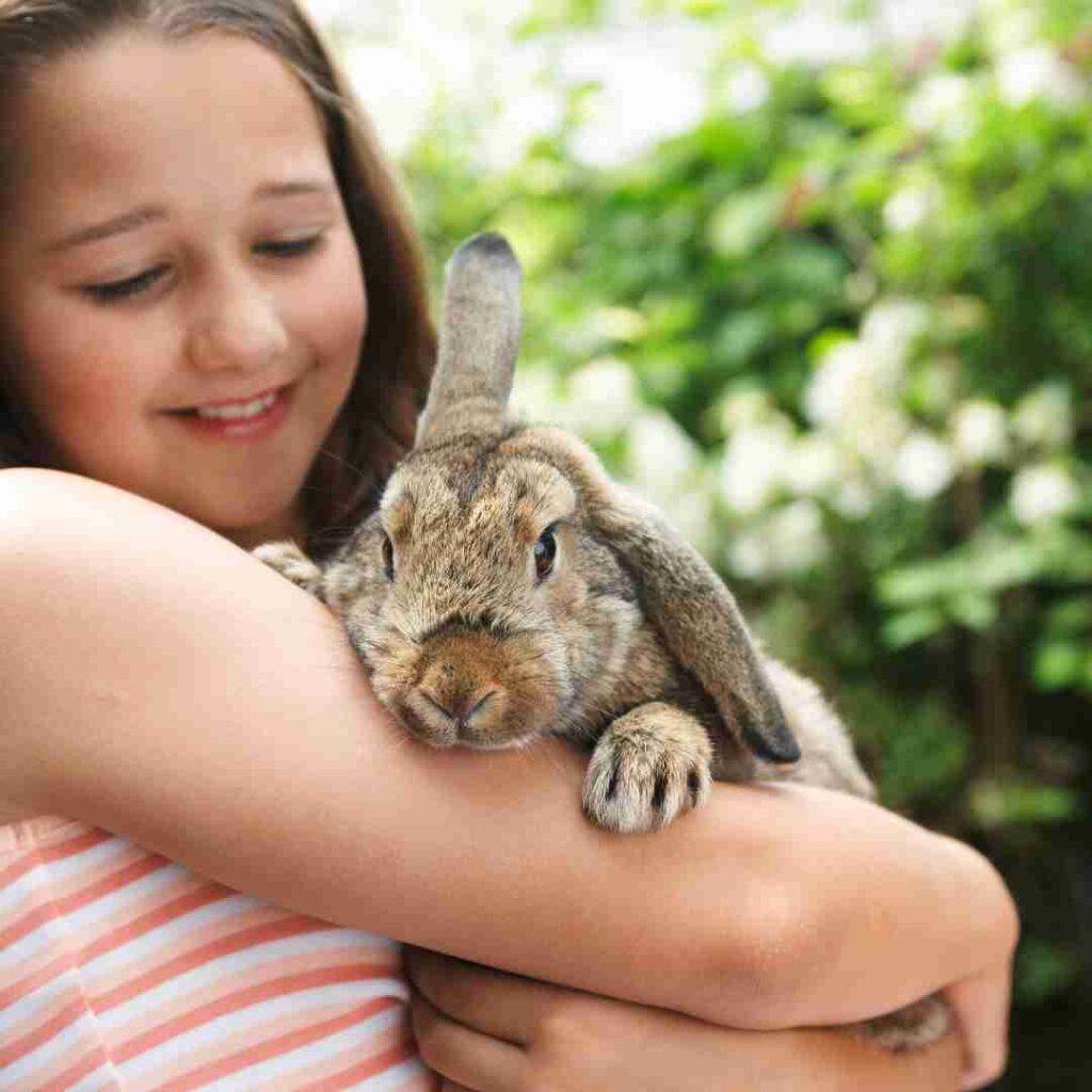 how to know if your rabbit is happy