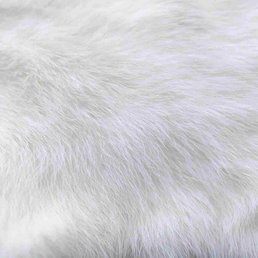 Rabbit Fur vs. Cat Fur: Understanding the Differences