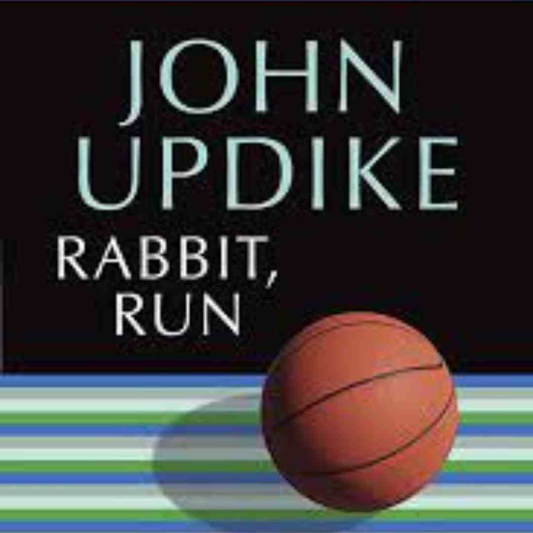 is rabbit run a good book