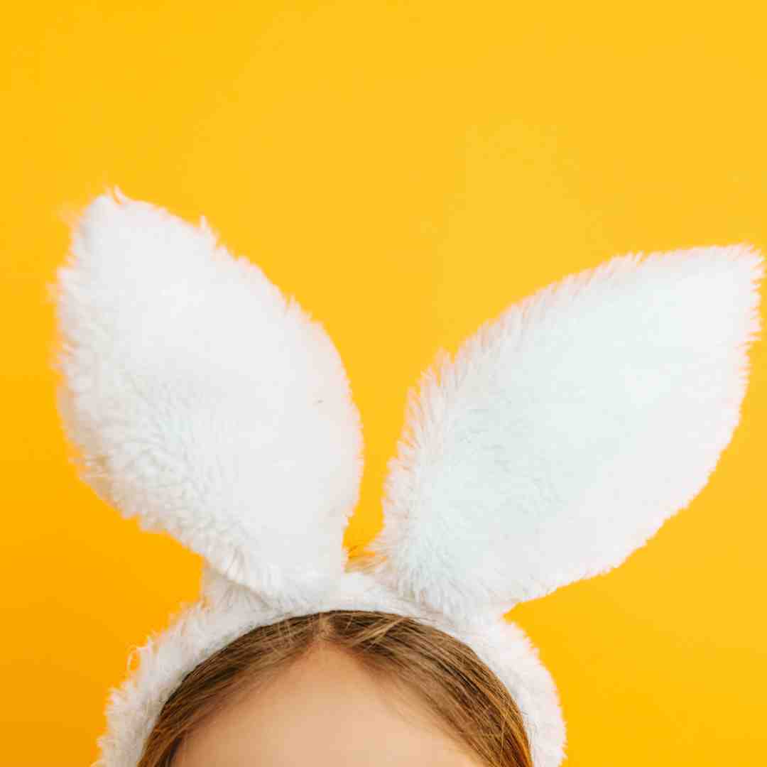 what rabbit ears mean