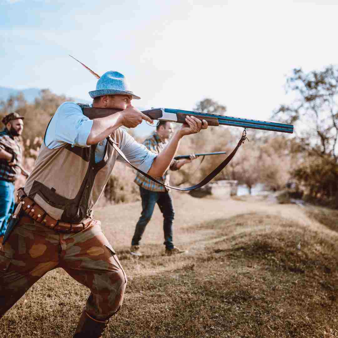 best rabbit hunting with beagles 2022