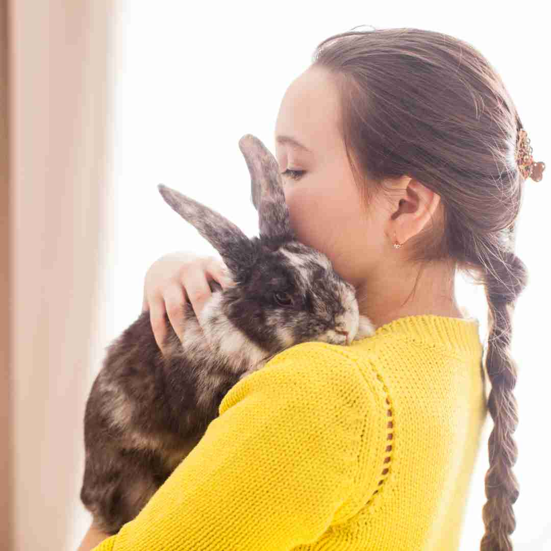 where do rabbits like to be pet