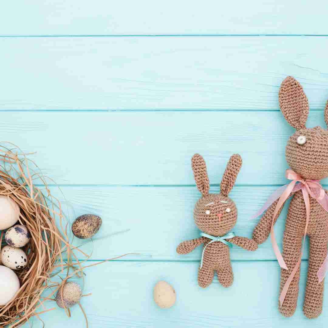 what rabbit lays eggs