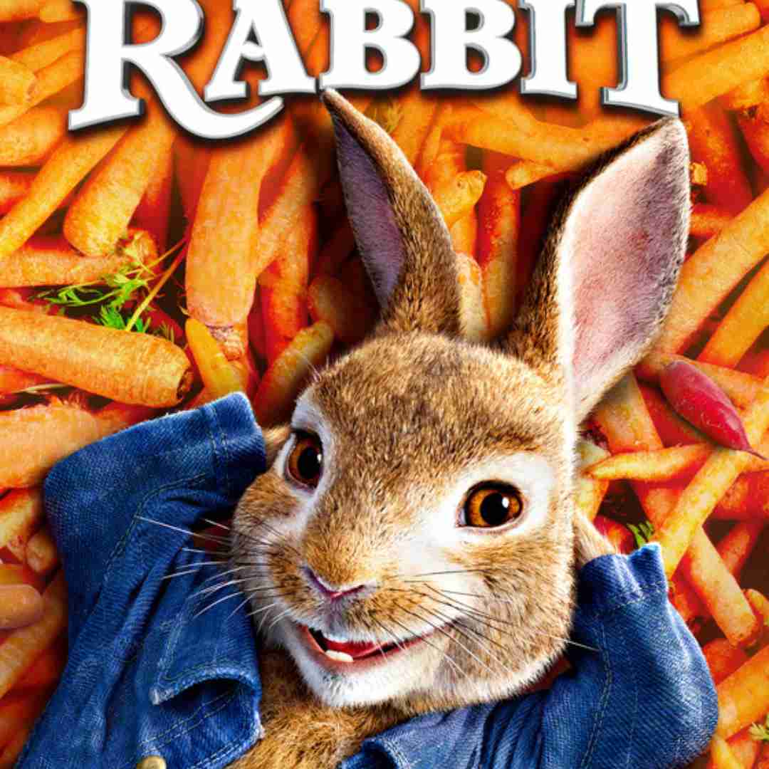 peter rabbit blackpool