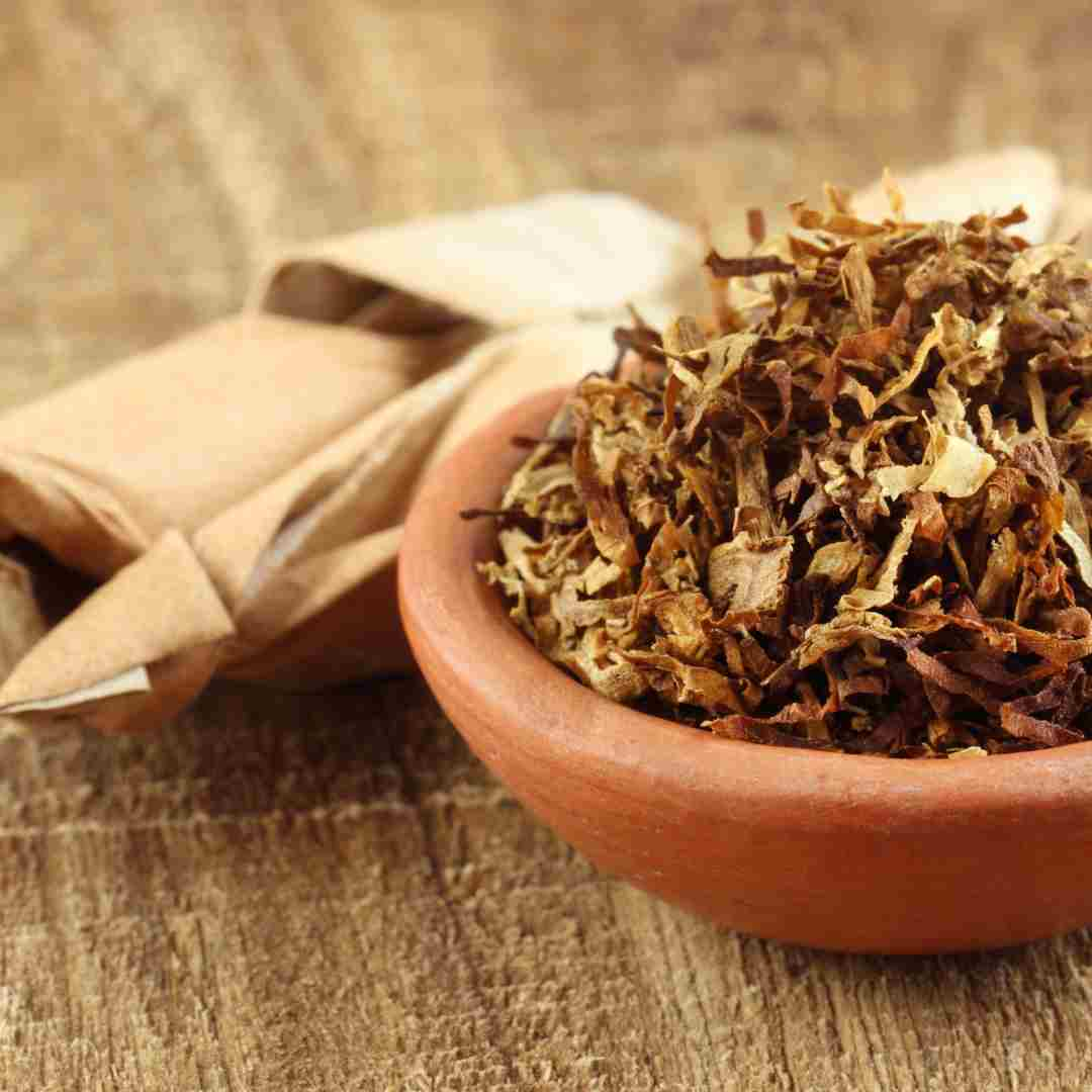 is rabbit tobacco bad for you