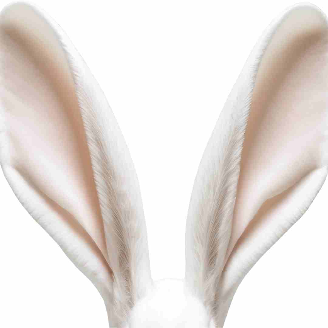 how do rabbit ears work