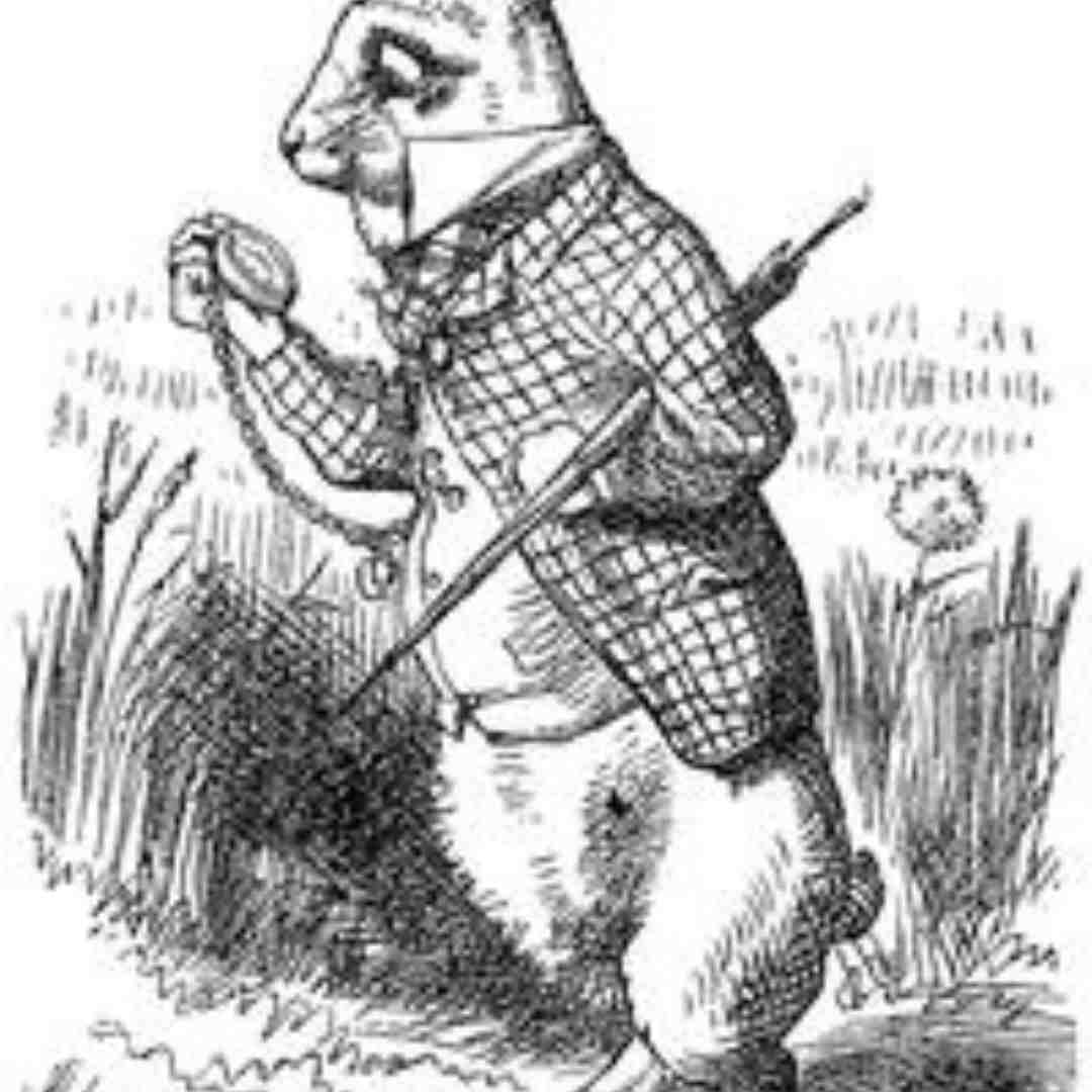 what's the rabbit's name in alice in wonderland
