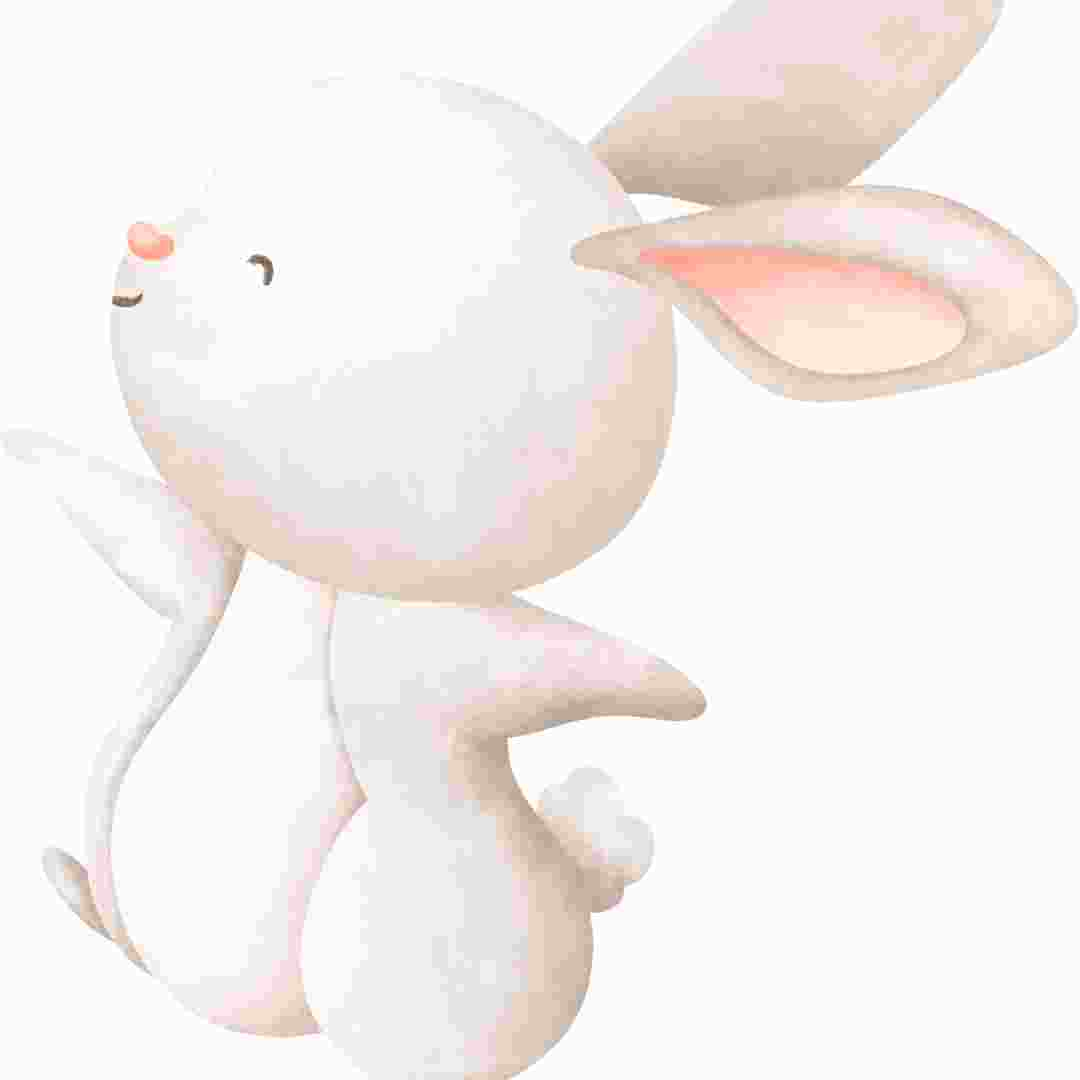 is rabbit a good zodiac sign