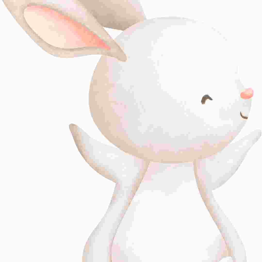 is rabbit a good zodiac sign