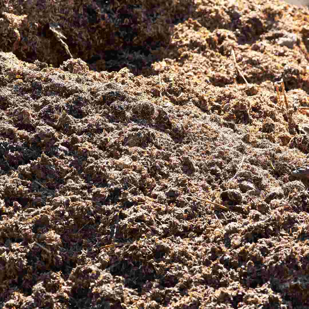 how much does rabbit manure cost