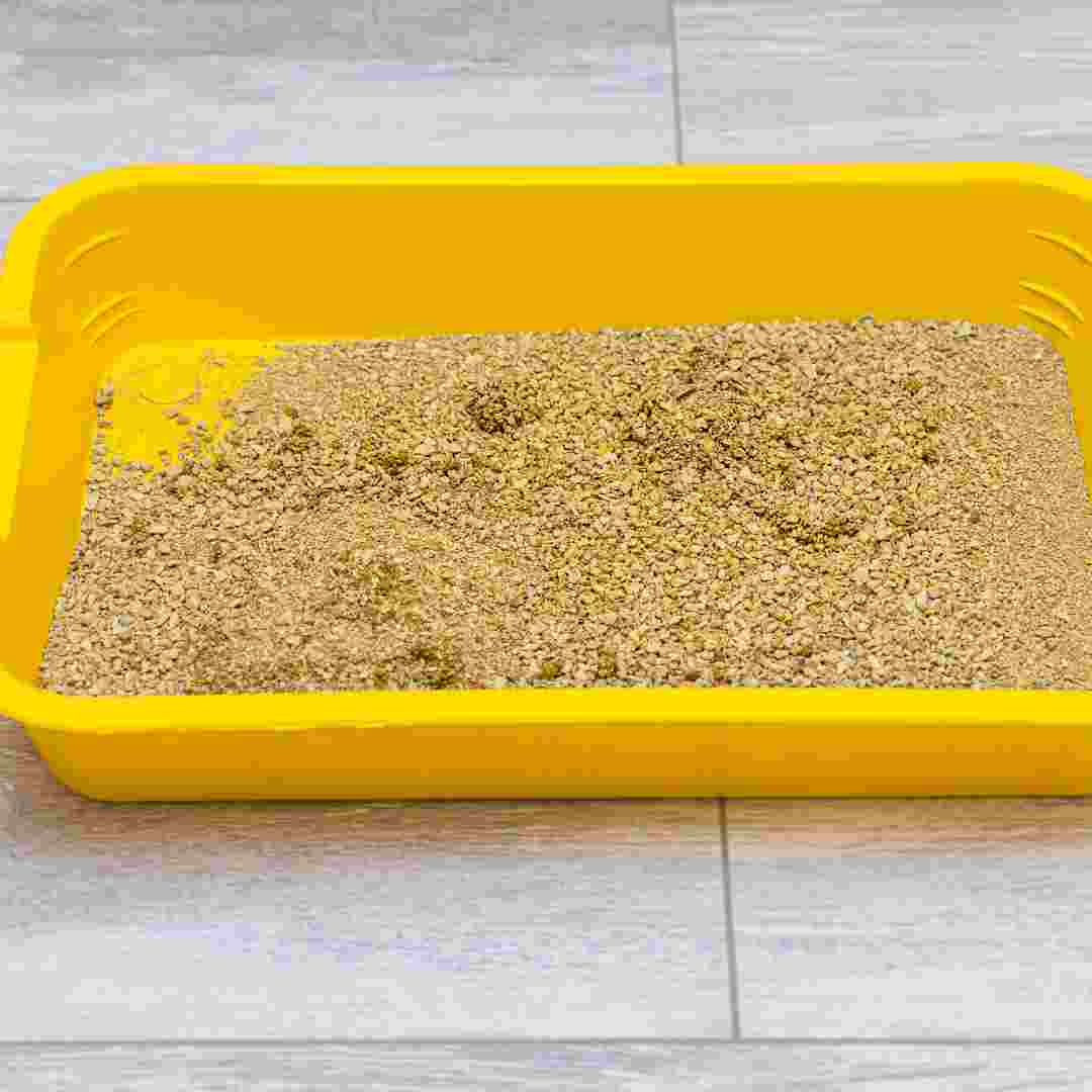 do rabbit use cat litter