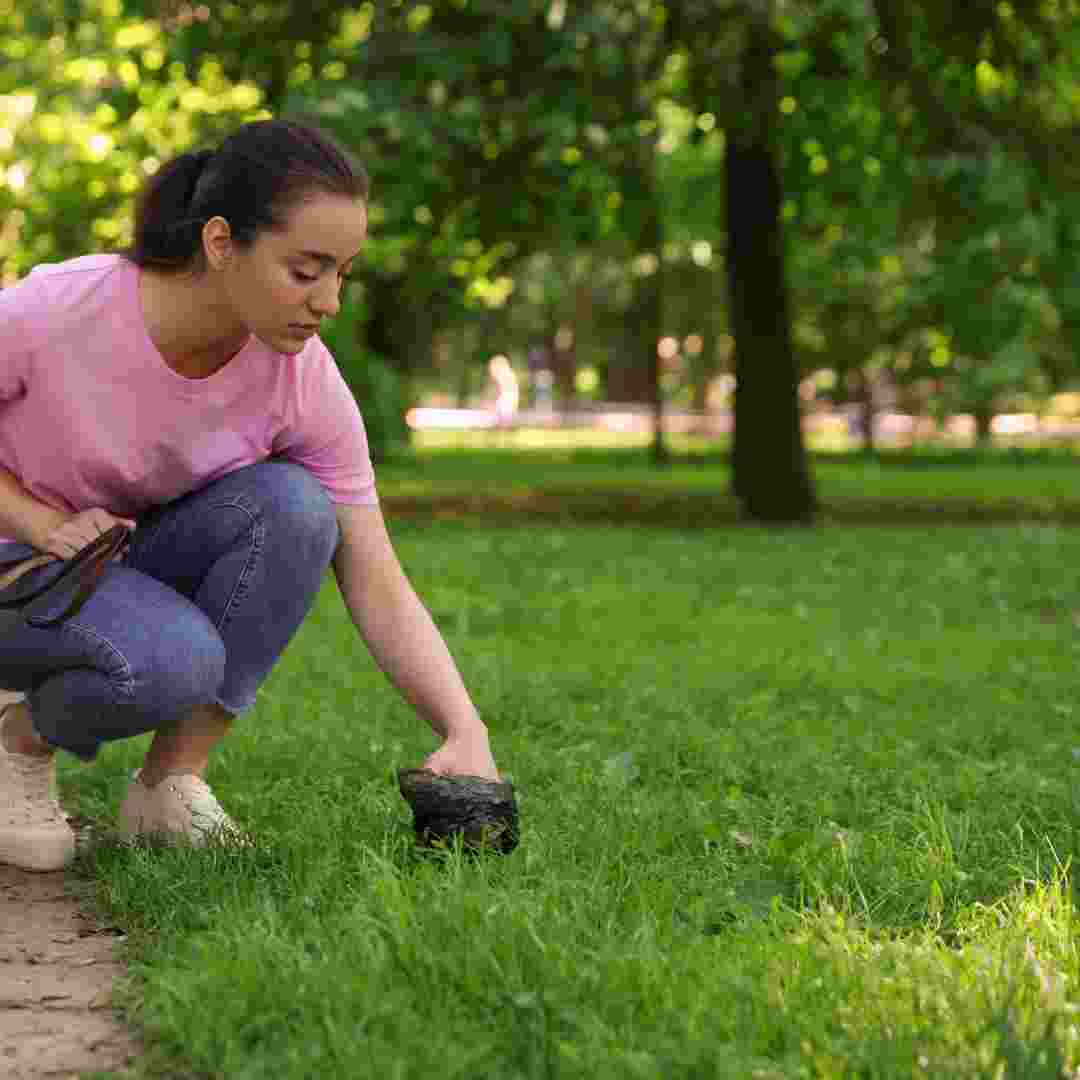 how to get rid of rabbit poop on grass