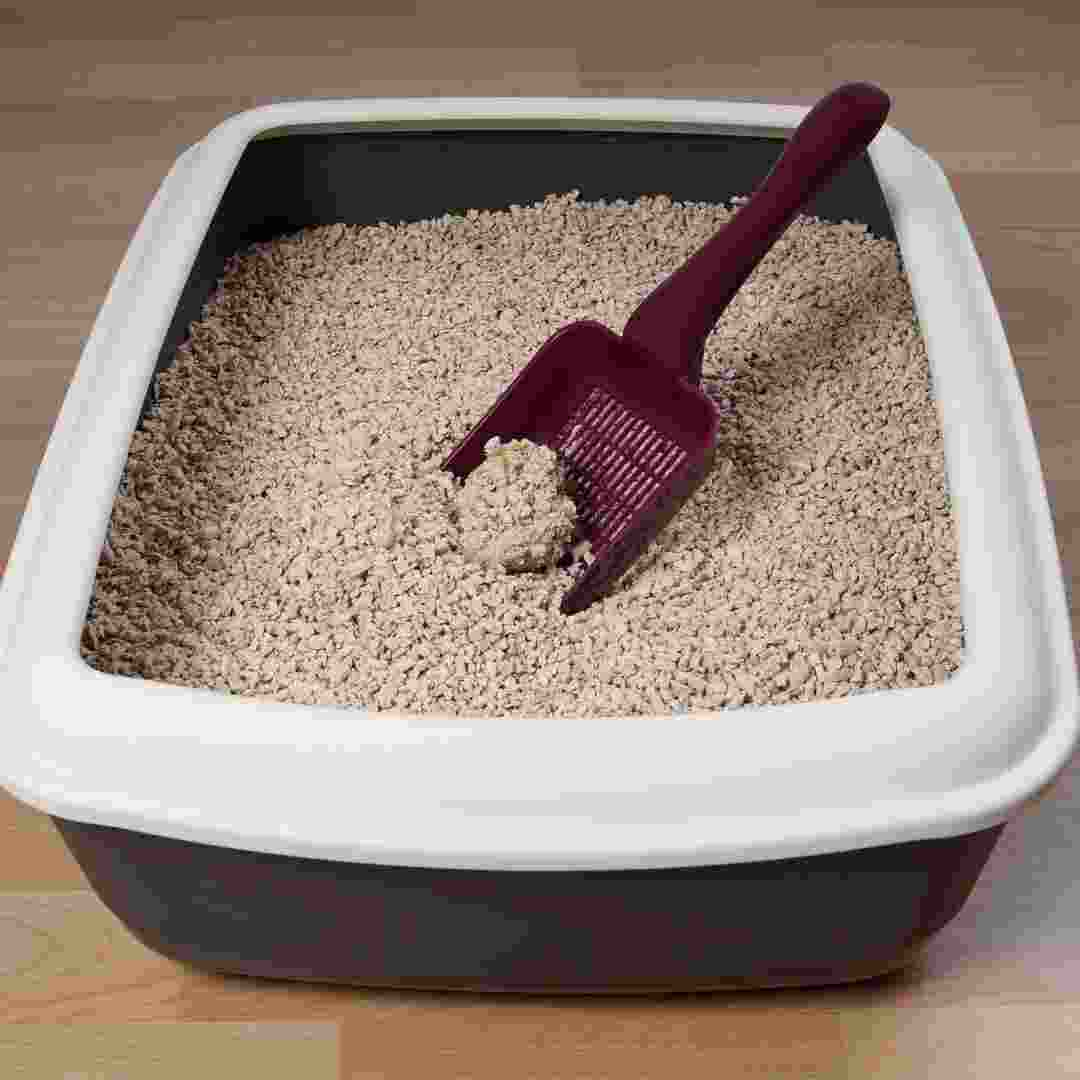 diy rabbit litter box