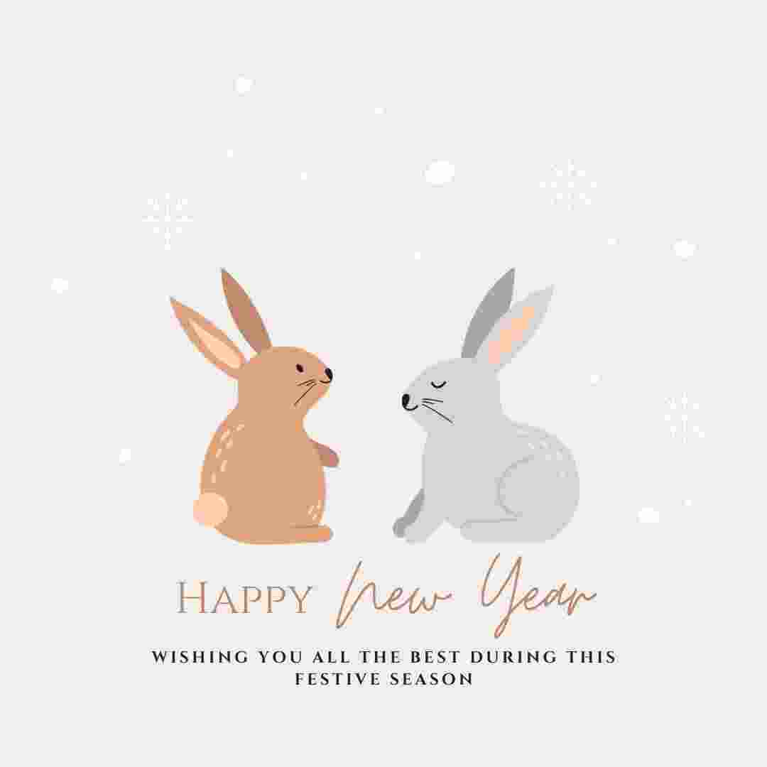 is the year of the rabbit good for rabbits