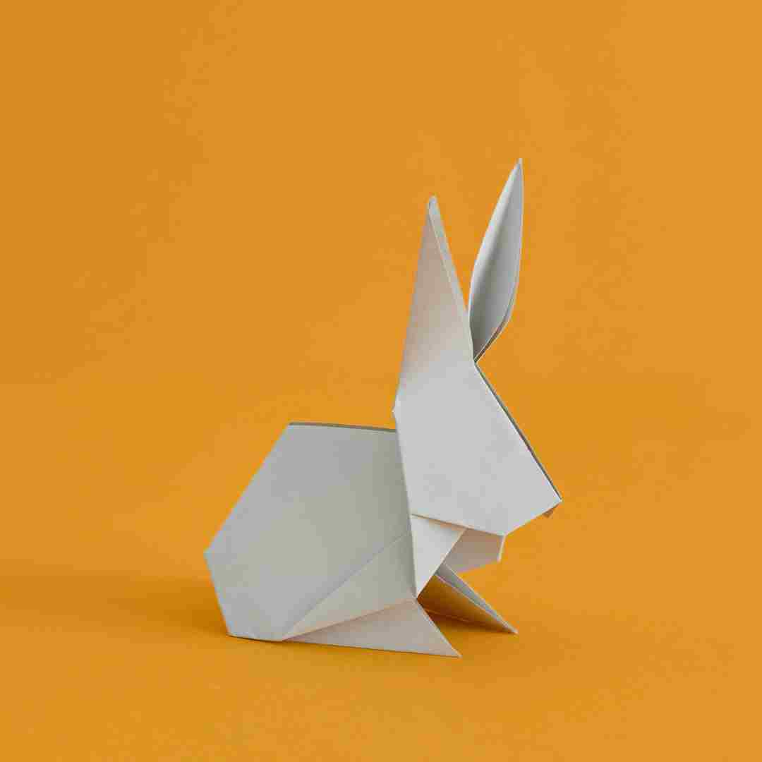 how to make paper rabbit