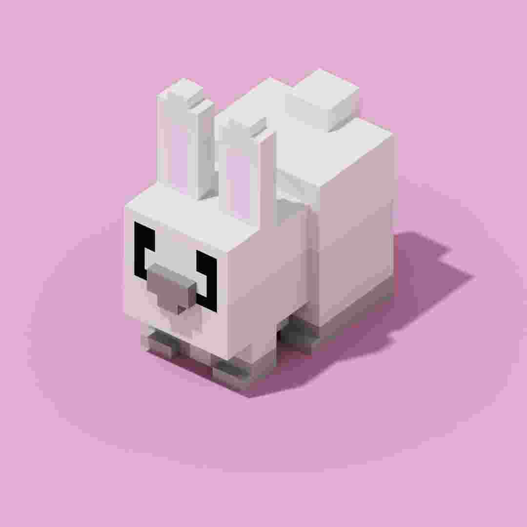 what does rabbit do in blox fruits