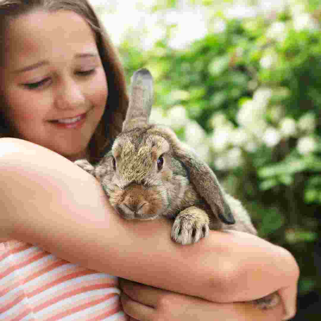what happens when one bonded rabbit died