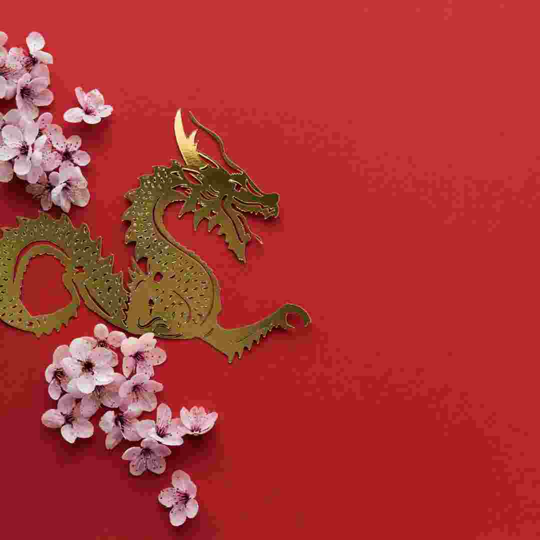 is rabbit year good for dragon