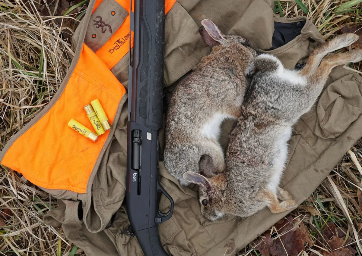 can you rabbit hunt with a 22