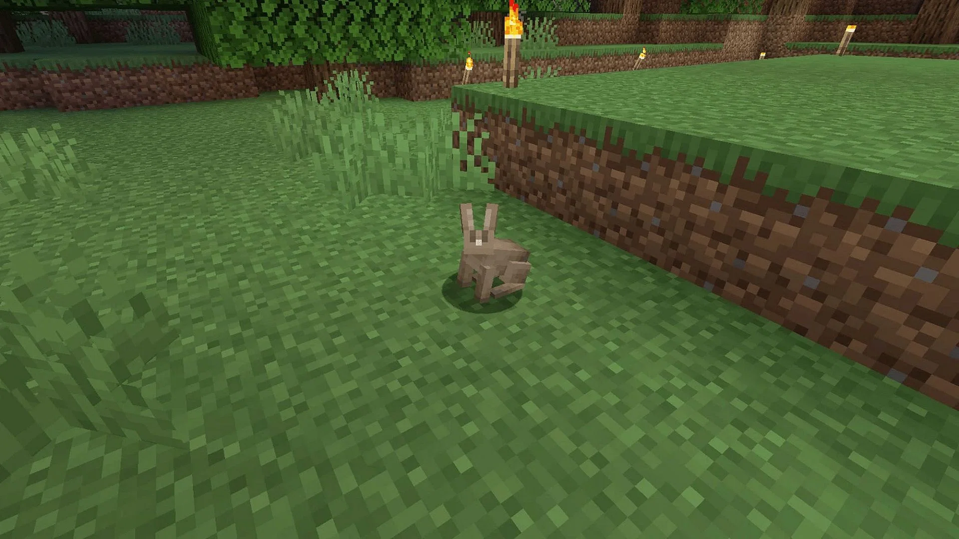 how to get rabbit foot minecraft