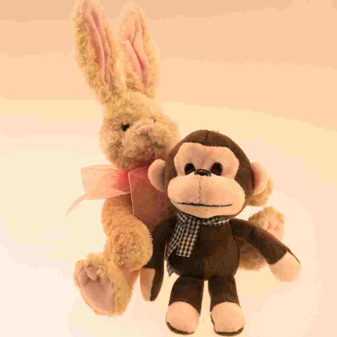 are rabbit and monkey compatibility