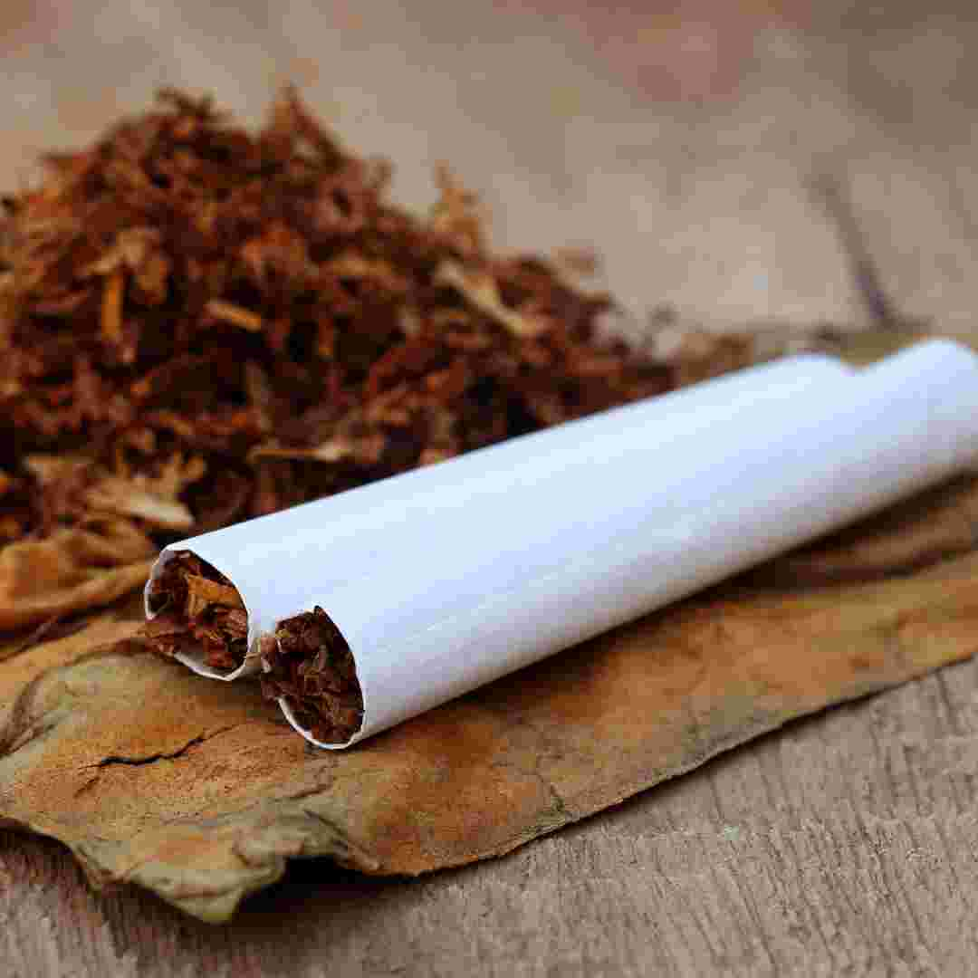 what's rabbit tobacco