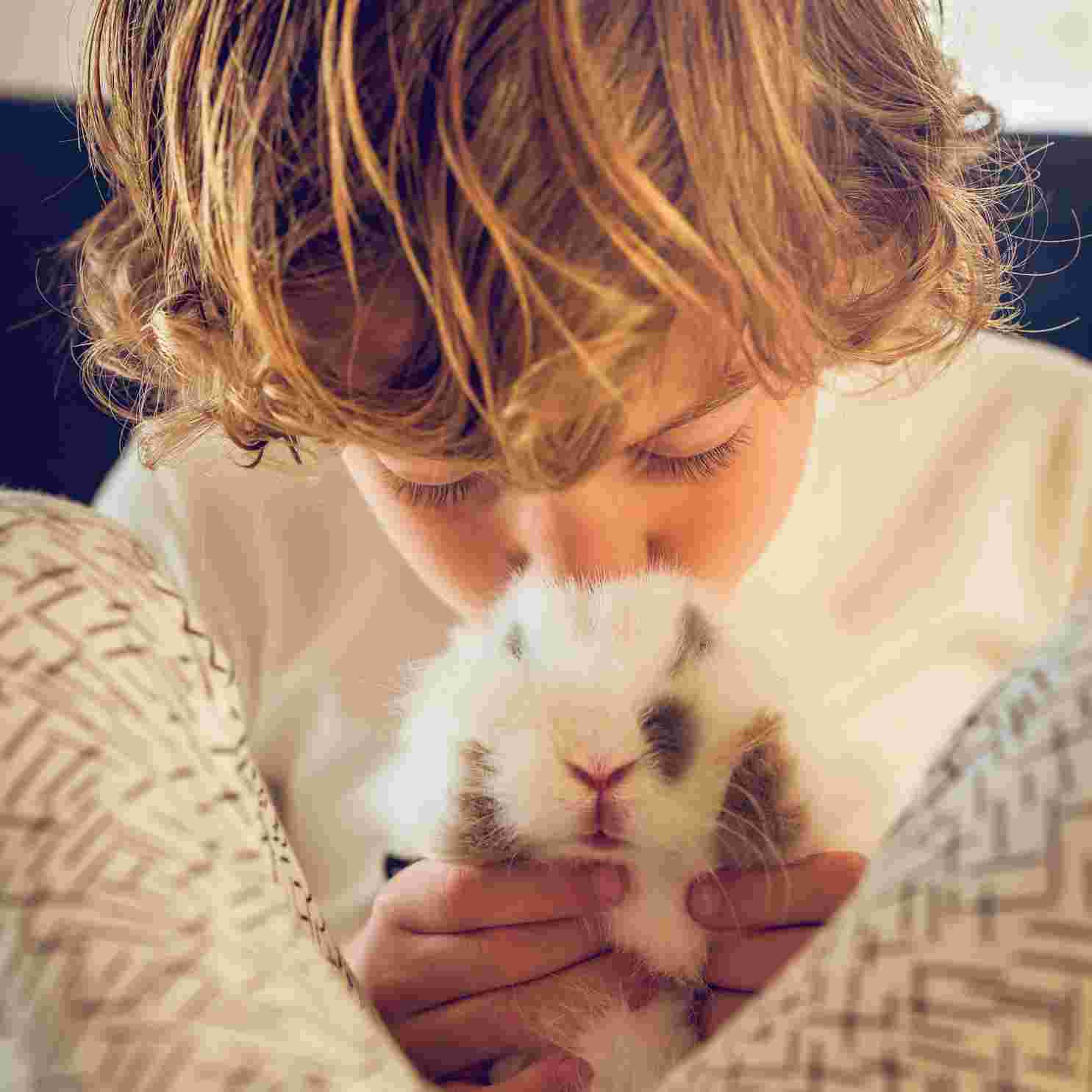 do rabbit like kisses