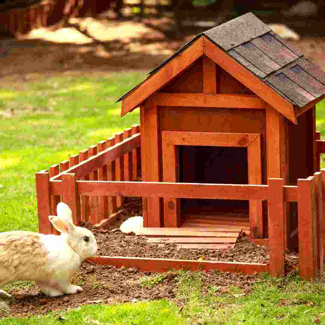 diy rabbit hutch